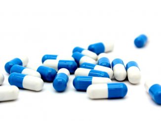 supplements to increase metabolism