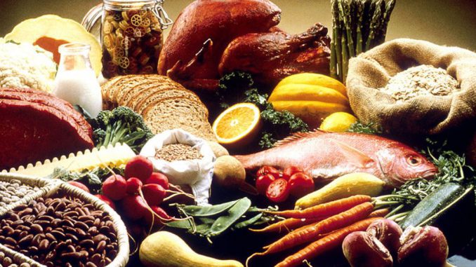 paleo diet the paleo diet menu