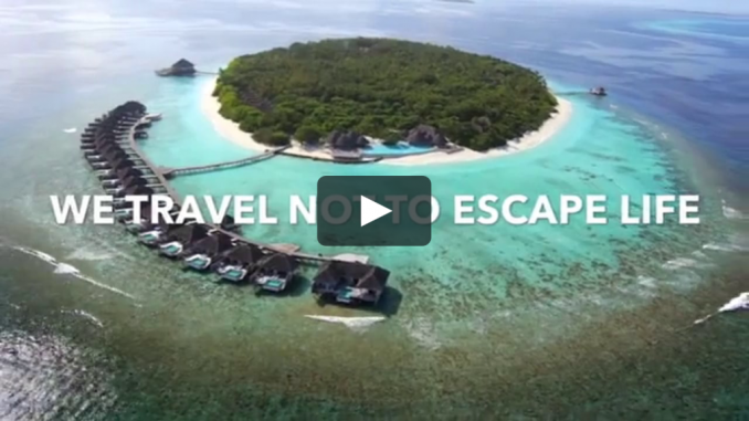 paycation paycation travel review