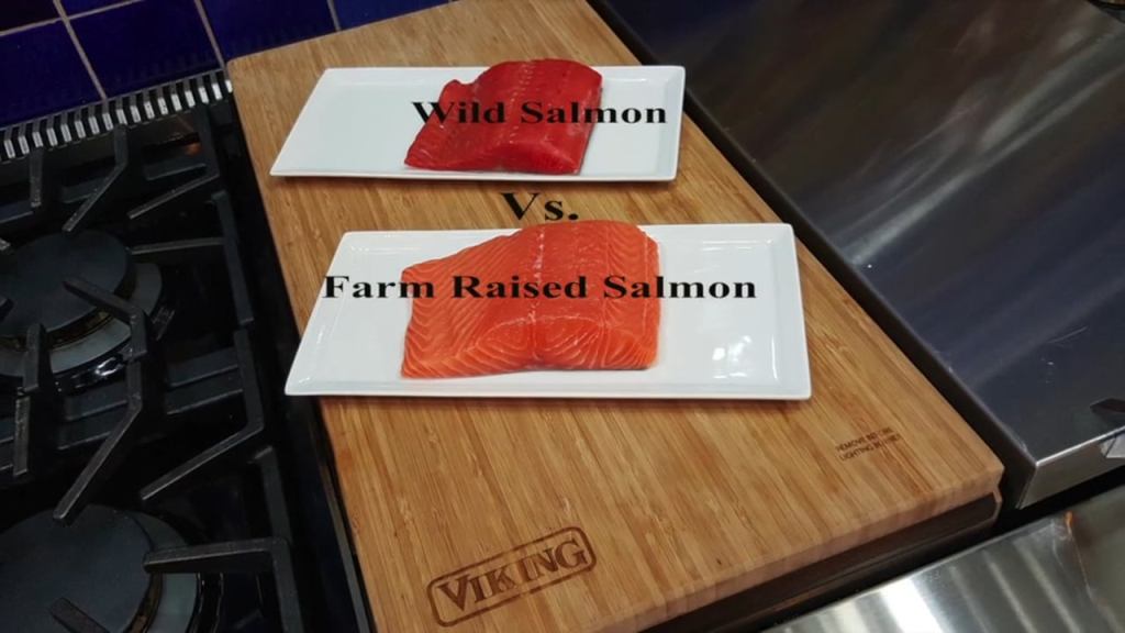 wild alaskan salmon vs farm raised salmon