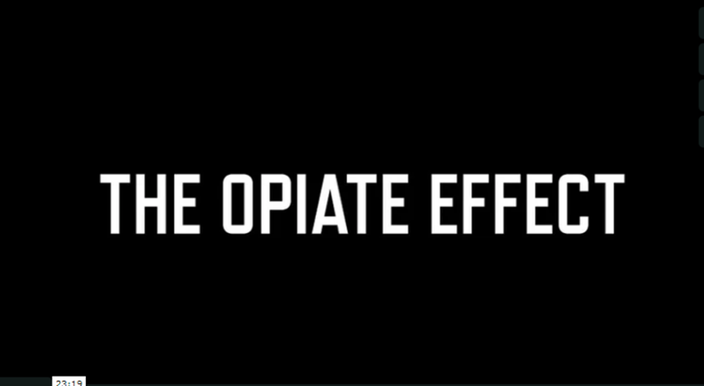 how opiates effects the body