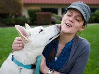 best pets to bond with