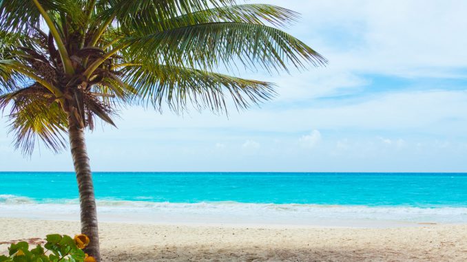 evolution travel is evolution travel a scam