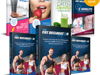 what is the fat decimator system about?