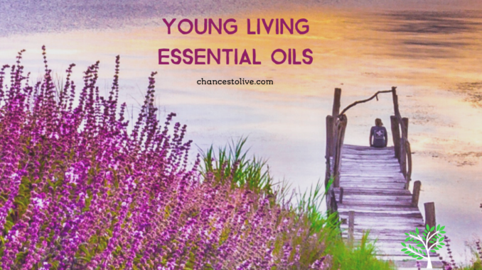 online-banner-maker-with-a-green-quote-280k-2032_twitter-post Young Living Essential Oils Review