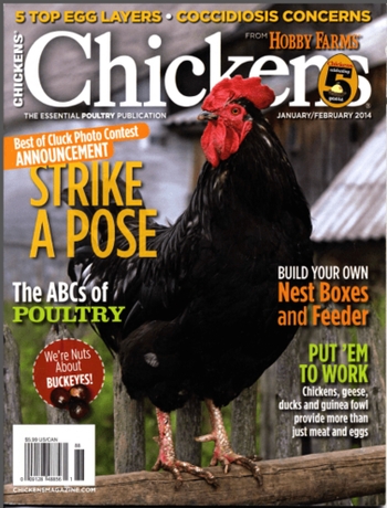 Magazine Subscriptions for Animals