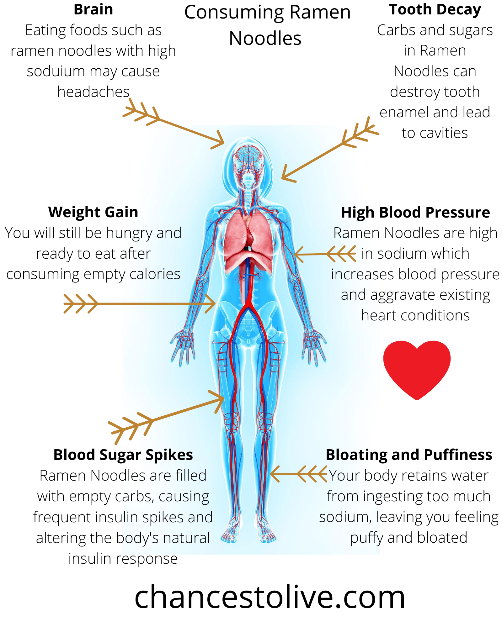 areramennoodlesbadforyourhealth The Millennial's Lifestyle