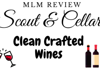 what is scout and cellar mlm about