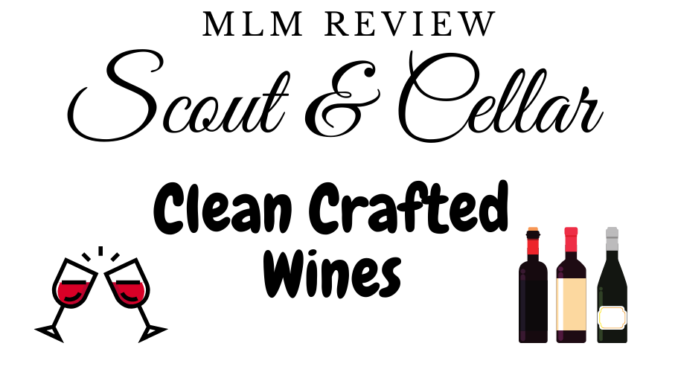 what is scout and cellar mlm about