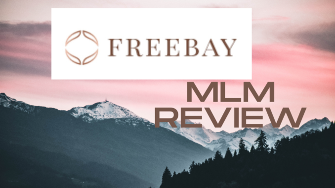 what is freebay about