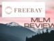 what is freebay about